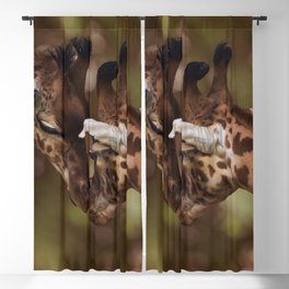 South Africa Photography - Two Giraffes Kissing Blackout Curtain
