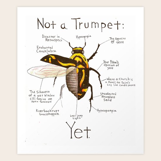 Dream Diagram Art Print