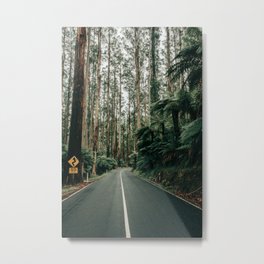 Endless Road - Black Spur, Healesville, Australia | Travel Photography Metal Print