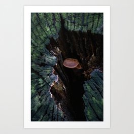 Emerald Tree with Mushroom Friend Art Print