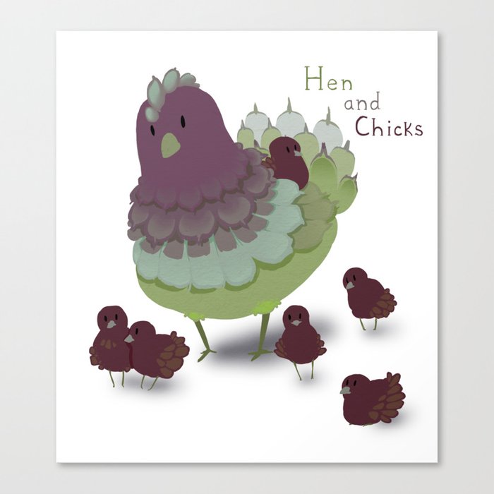 Hen and Chicks Canvas Print