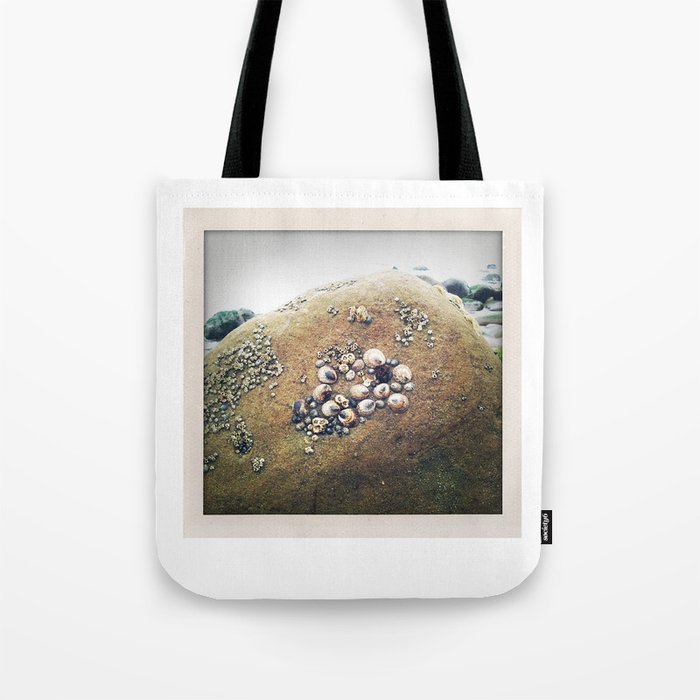 California Coast III: Beach photo of shell-covered rock, perfect for your wall or as a gift! Tote Bag
