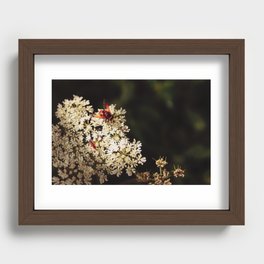 bee flower sun nature photography Recessed Framed Print