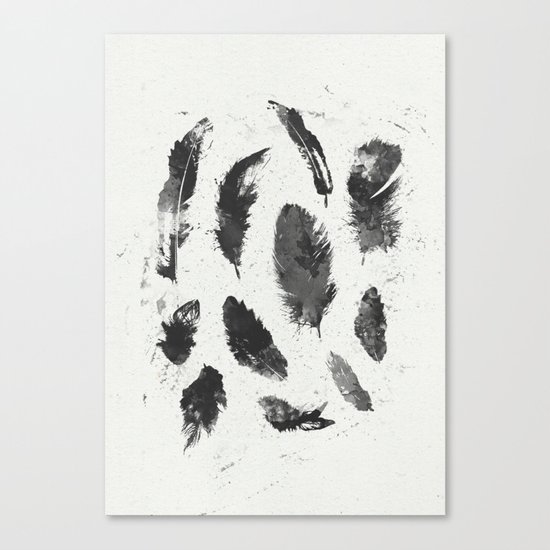 Feathers Canvas Print