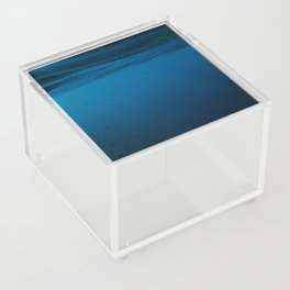Scandola Fish Acrylic Box