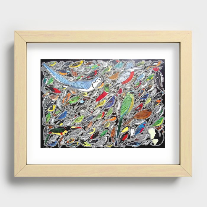 Toucans, parrots and tropical birds of Costa Rica Recessed Framed Print