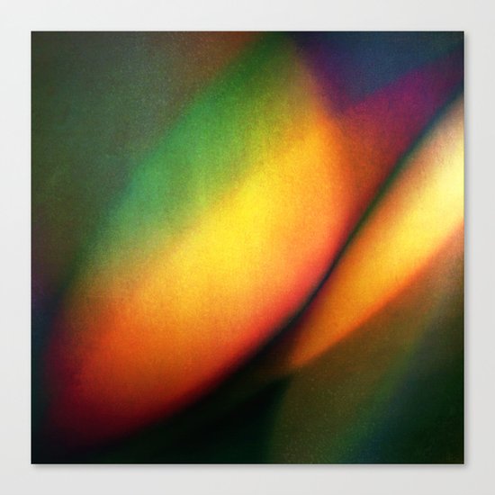 MANGOS FOR DINNER Canvas Print