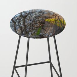 Blossoms Morning Bar Stool