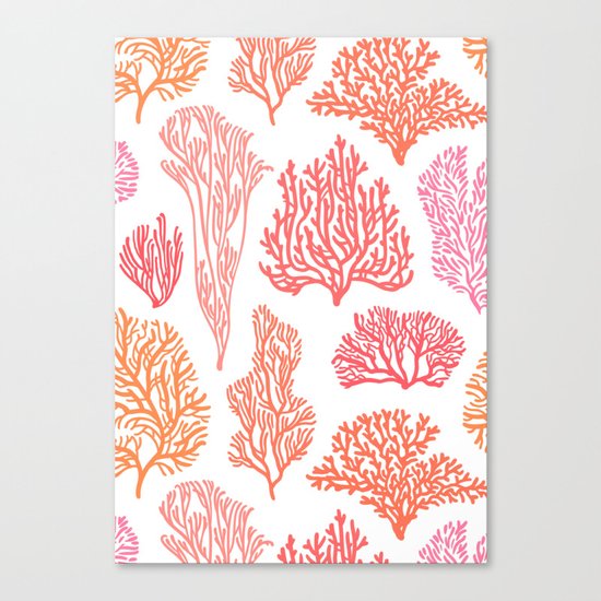 Coral Mania Canvas Print