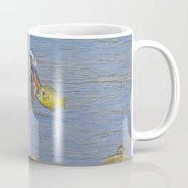 Great Blue Heron with Sunfish Lunch Coffee Mug