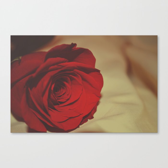 Every Rose Canvas Print