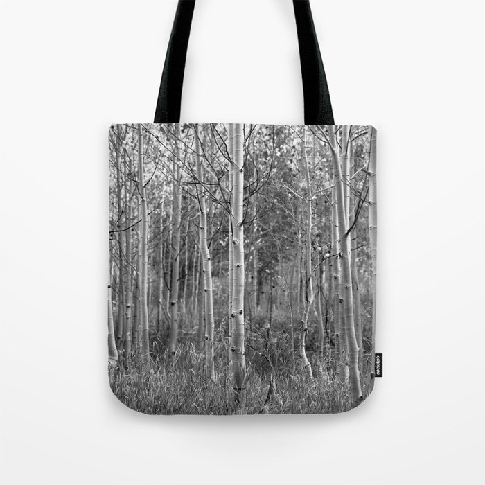 Aspen Always - Grove of Aspen Tree Trunks at Maroon Bells Colorado in Black and White Tote Bag
