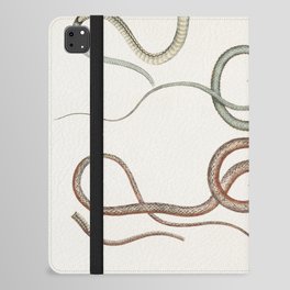 Side Streaked Tree Snake & Reddish Dipsus iPad Folio Case