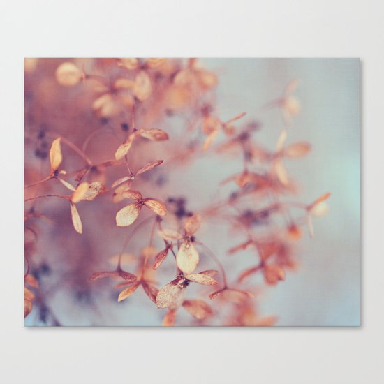 January Fog Canvas Print