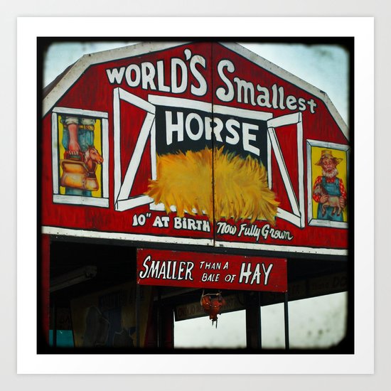 Worlds Smallest Horse Art Print
