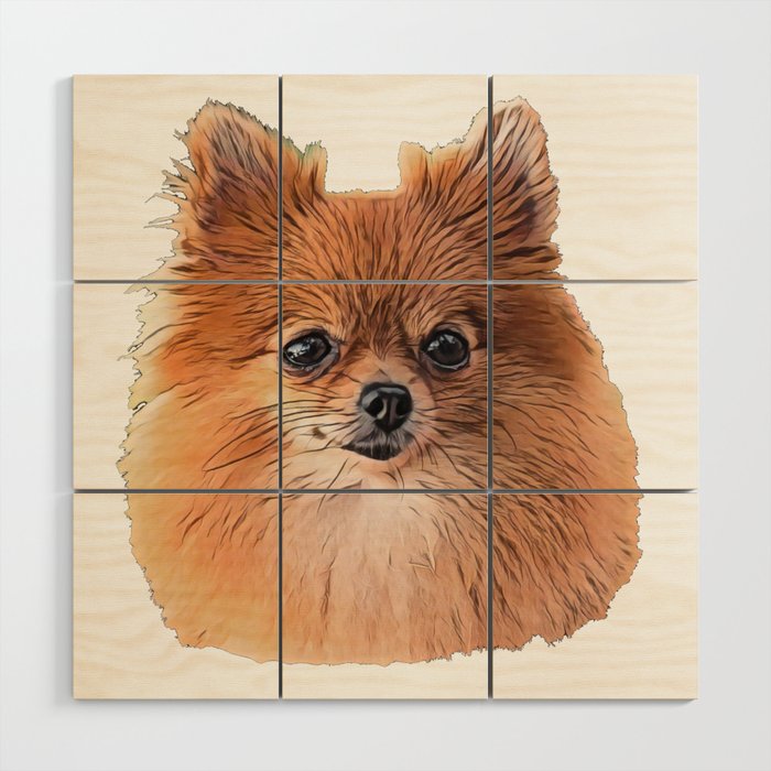 Pomeranian wall art new arrivals
