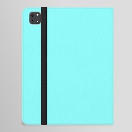 Aqua iPad Folio Case