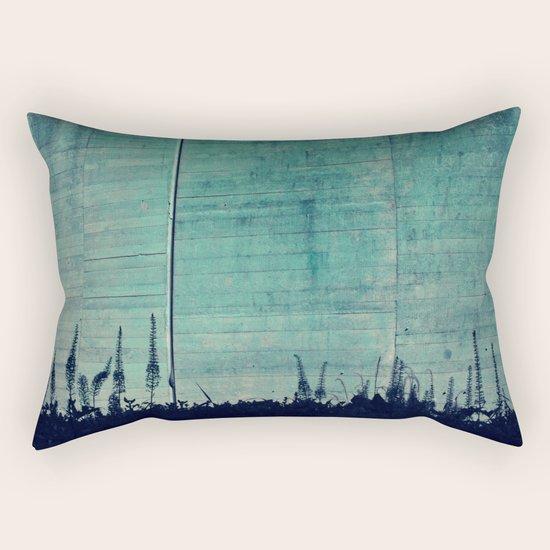 #98 Rectangular Pillow