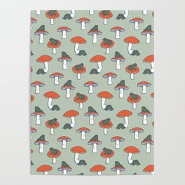Toads & Toadstools Poster