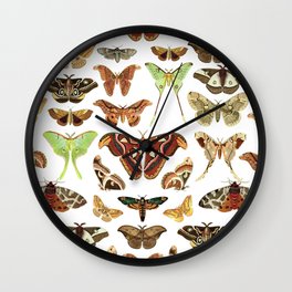 Moths Wall Clock