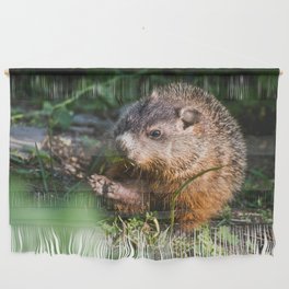 Hungry Groundhog. Nature Photography Wall Hanging