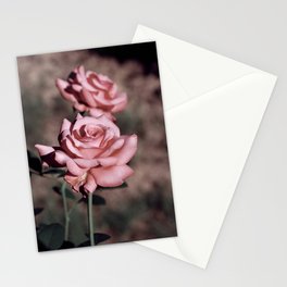 Vintage Roses Stationery Cards