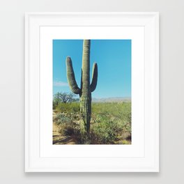 Saguaro Framed Art Print