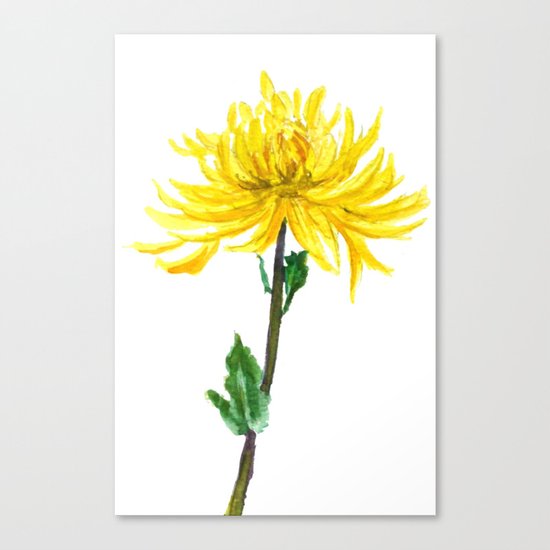 one yellow chrysanthemum Canvas Print