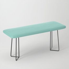 PALE ROBIN EGG solid color. Turquoise soft pastel shade plain pattern  Bench