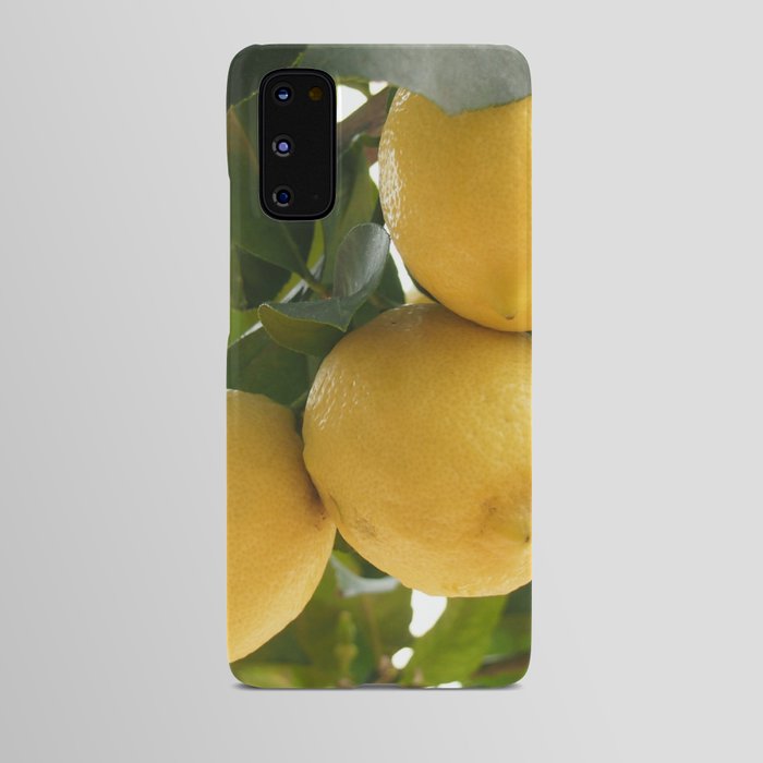 Lemon Tree Android Case