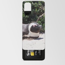 South Africa Photography - Penguin Laying At The Beach Android Card Case