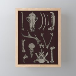 Animal Bones Anatomical Illustration on Dark Red Framed Mini Art Print