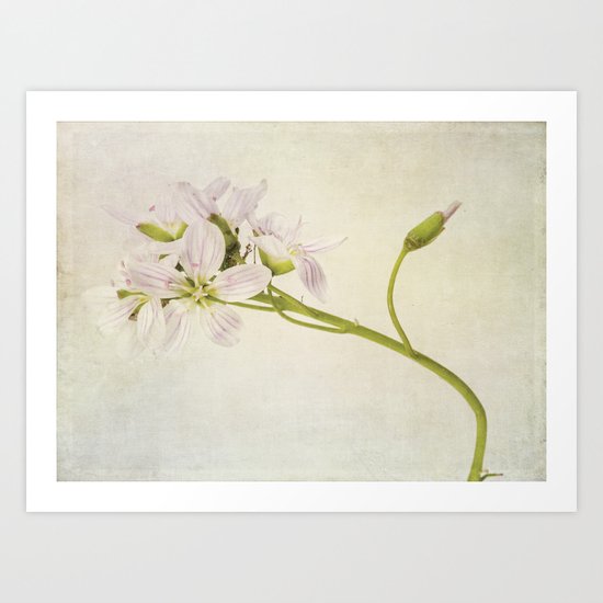 bouquet Art Print