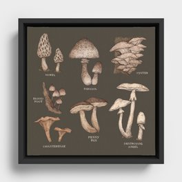 Mushrooms Framed Canvas