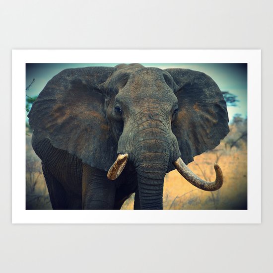 Elephant Art Print