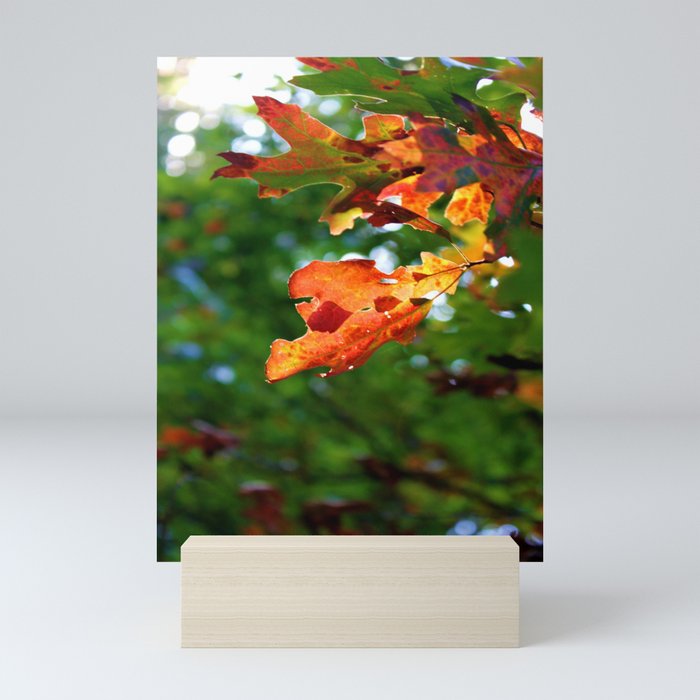 Fall Leaves Mini Art Print