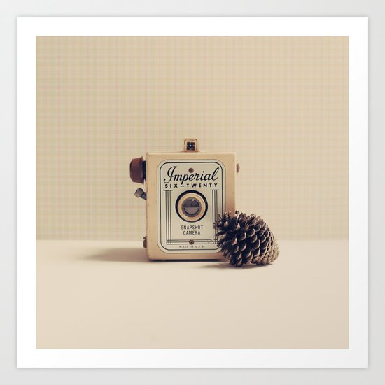 Retro Camera and Pine Cone Art Print