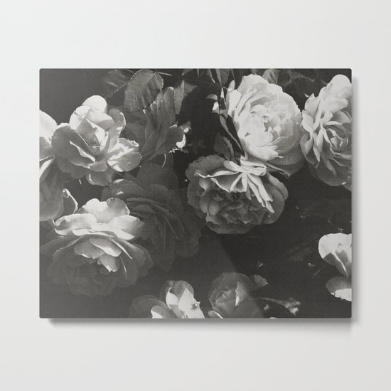 BLACK AND WHITE ROSES Metal Print