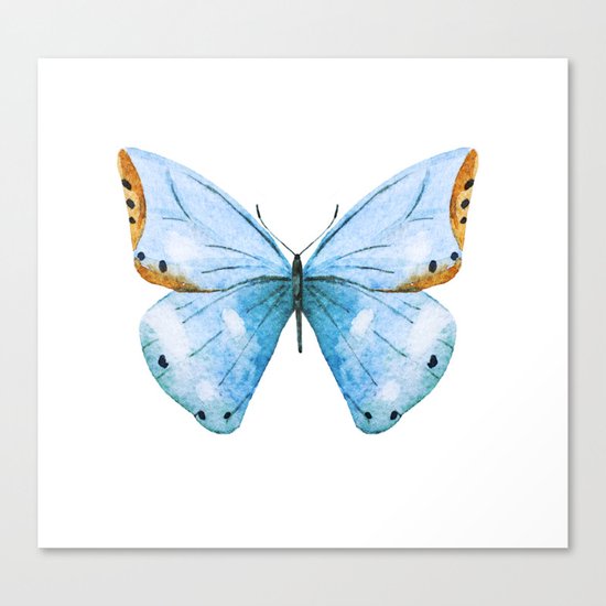 Butterfly 04 Canvas Print