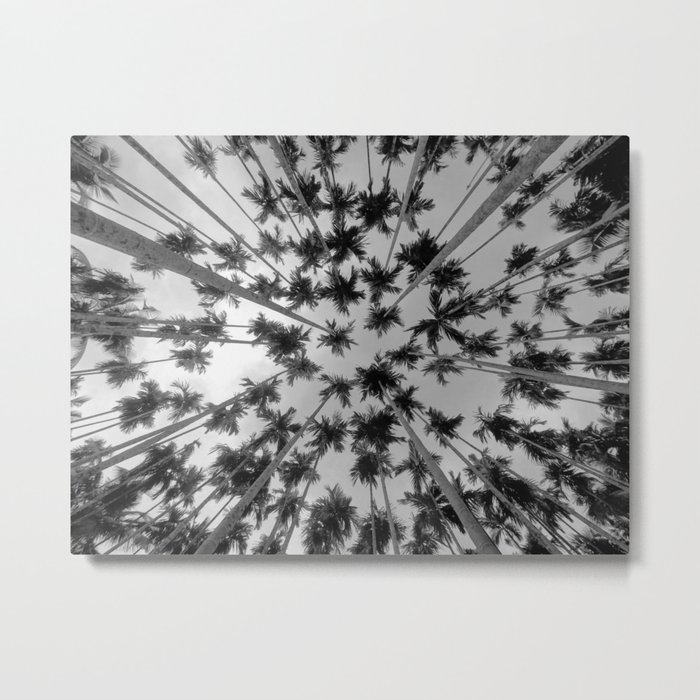 Above Palm Trees (Black and White) Metal Print