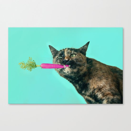 The Pink Carrot Canvas Print