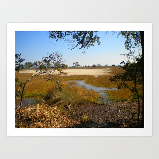 Beautiful Swamp Art Print