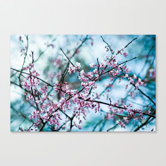 Dreaming of Spring Canvas Print
