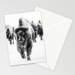 Winter Buffalo x Yellowstone Decor Stationery Card