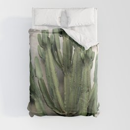 Cactus Comforter | Plant, Arizona, Beauty, Sharp, Mediteranian, Color, Dry, Stucco, Green, Photo 
