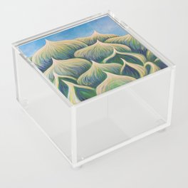 Succulent Acrylic Box
