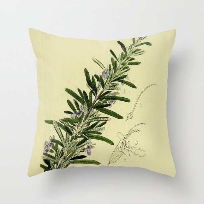 Botanical Rosemary Throw Pillow