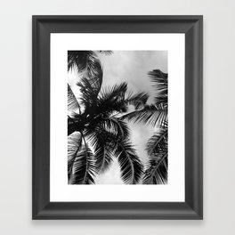 Palm Tree Framed Art Print