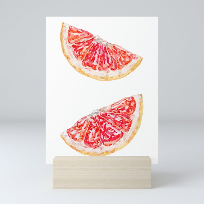 Watercolour Grapefruit Slices Mini Art Print