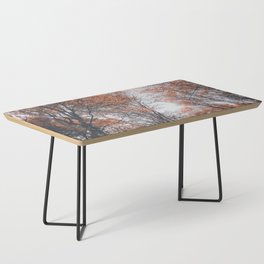 Autum brown amber forest sky Coffee Table